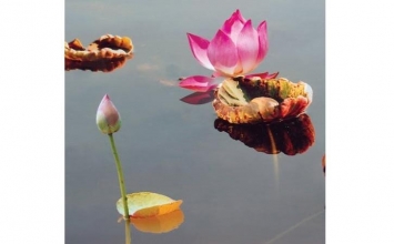 Ba hạng đệ tử